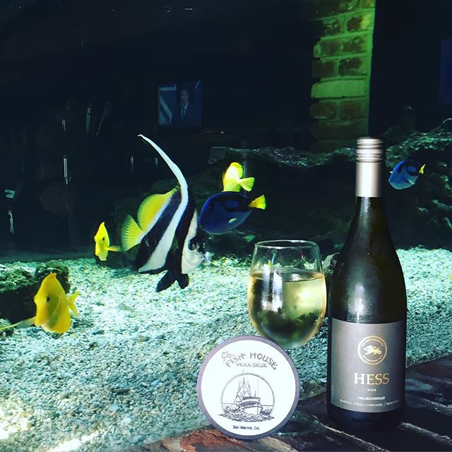 Our Wine of the Month...Hess Chardonnay. Being served through December  #hesswinery #napa #napavalley #california #aquariums #seafood #sanmarcos #oldcaliforniarestaurantrow