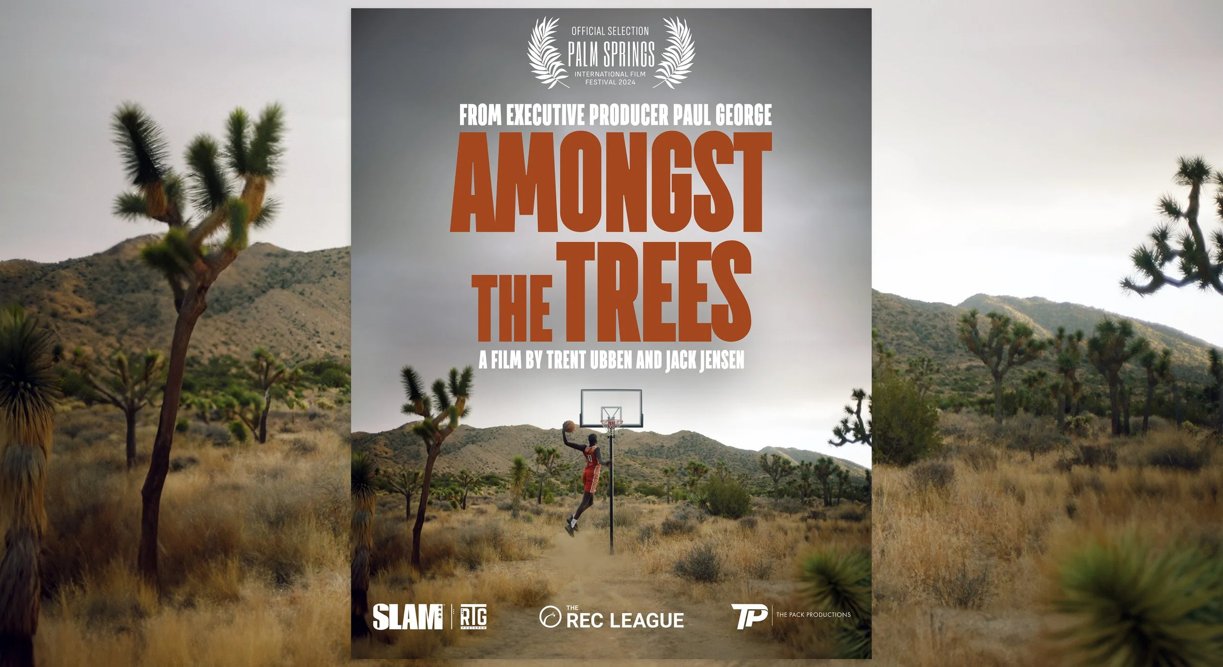 co-director | writer | producer | executive producer | photographer