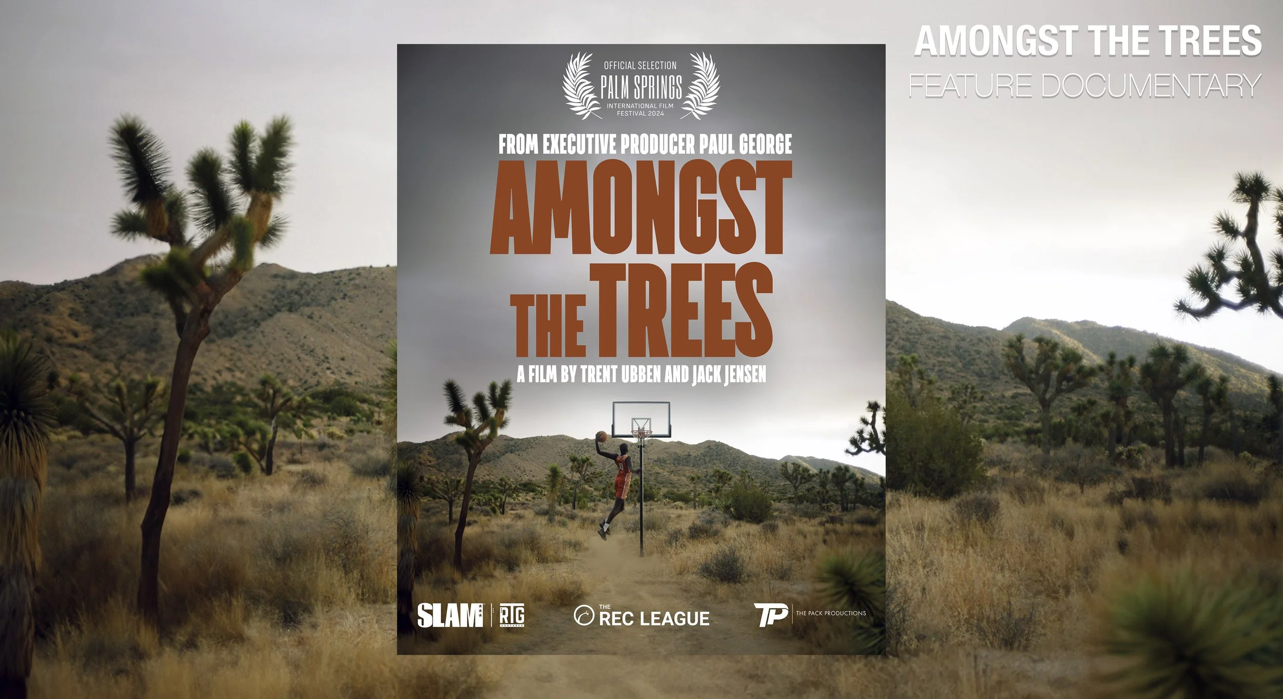 co-director | writer | producer | executive producer | photographer