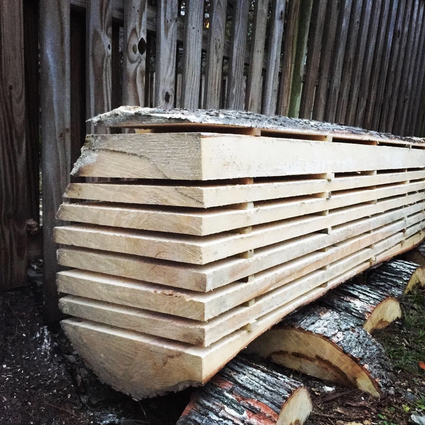 Silver maple stacked for air drying after being cut into boards with a portable chainsaw mill.