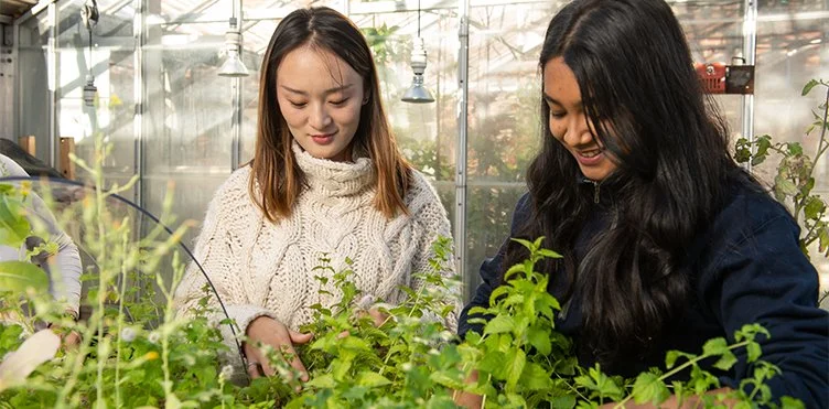 Sustainability Week