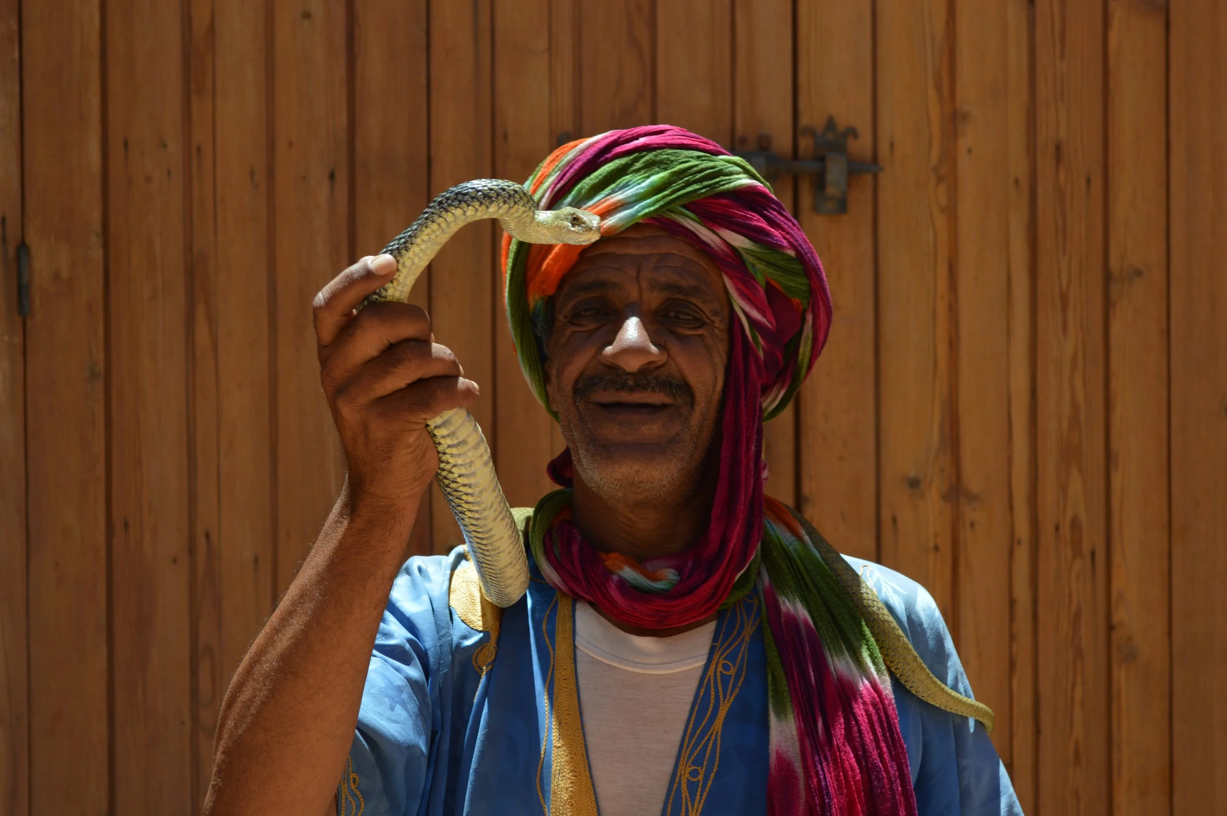 DSC_0551.JPG