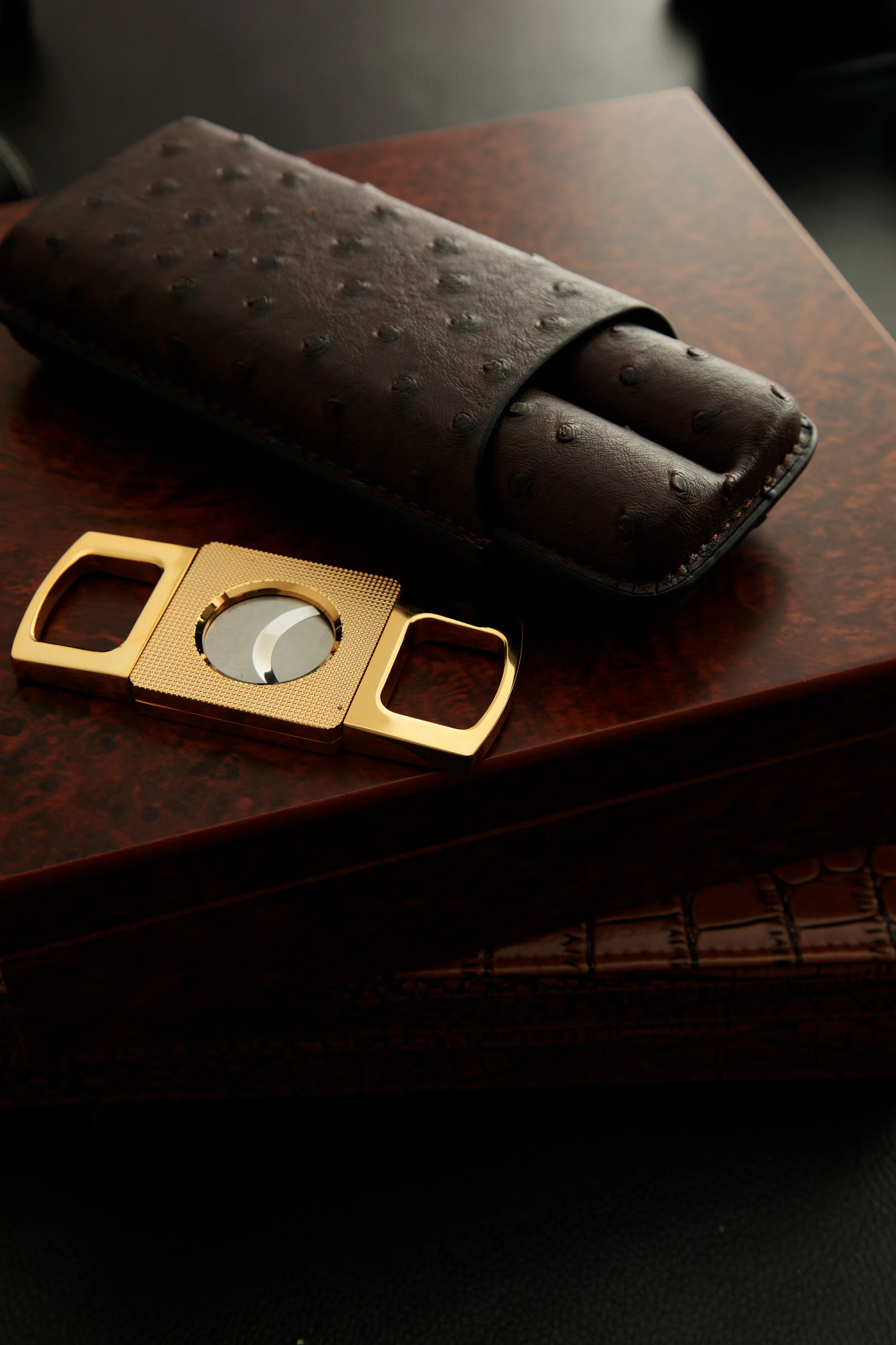 BERNIER_November 09, 2019_8F0A0913.JPG