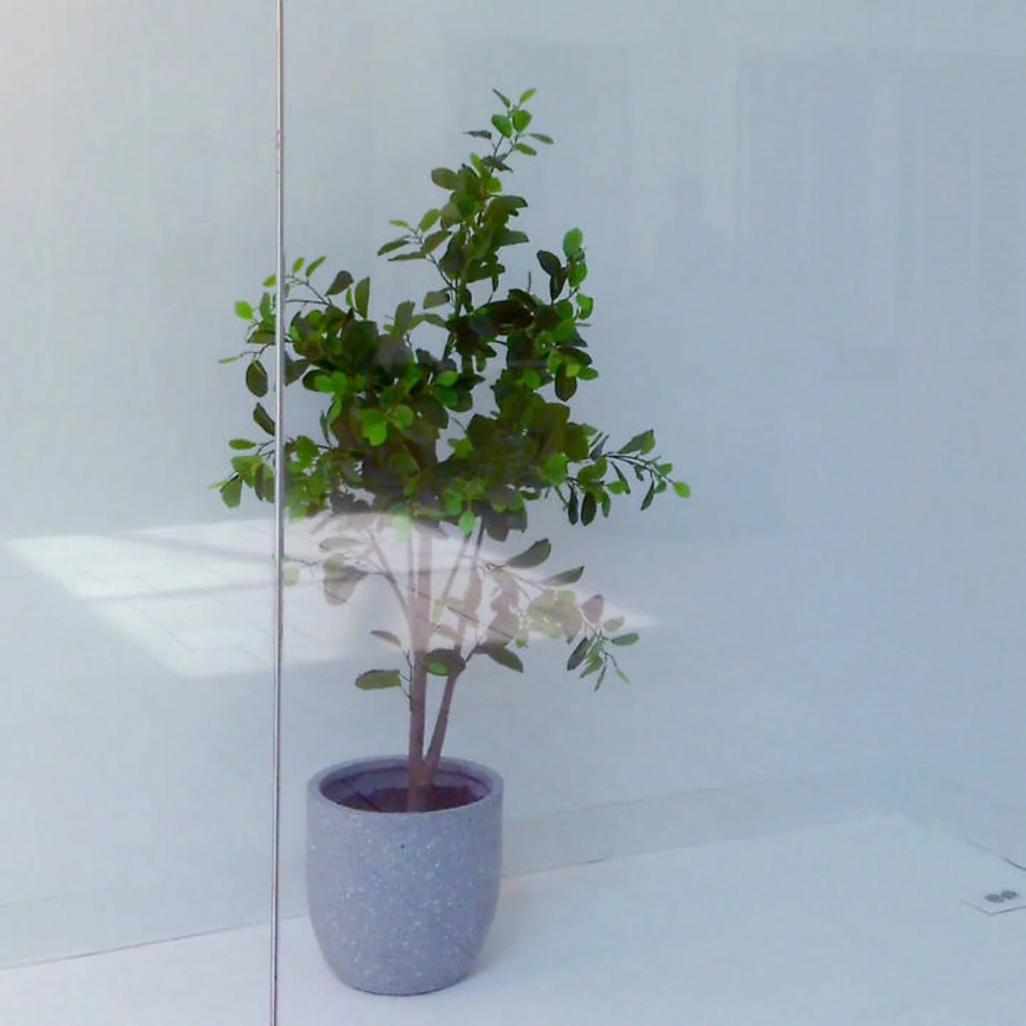 Residual Frequencies is now available on most streaming platforms. 

#loopambient #foundaudio