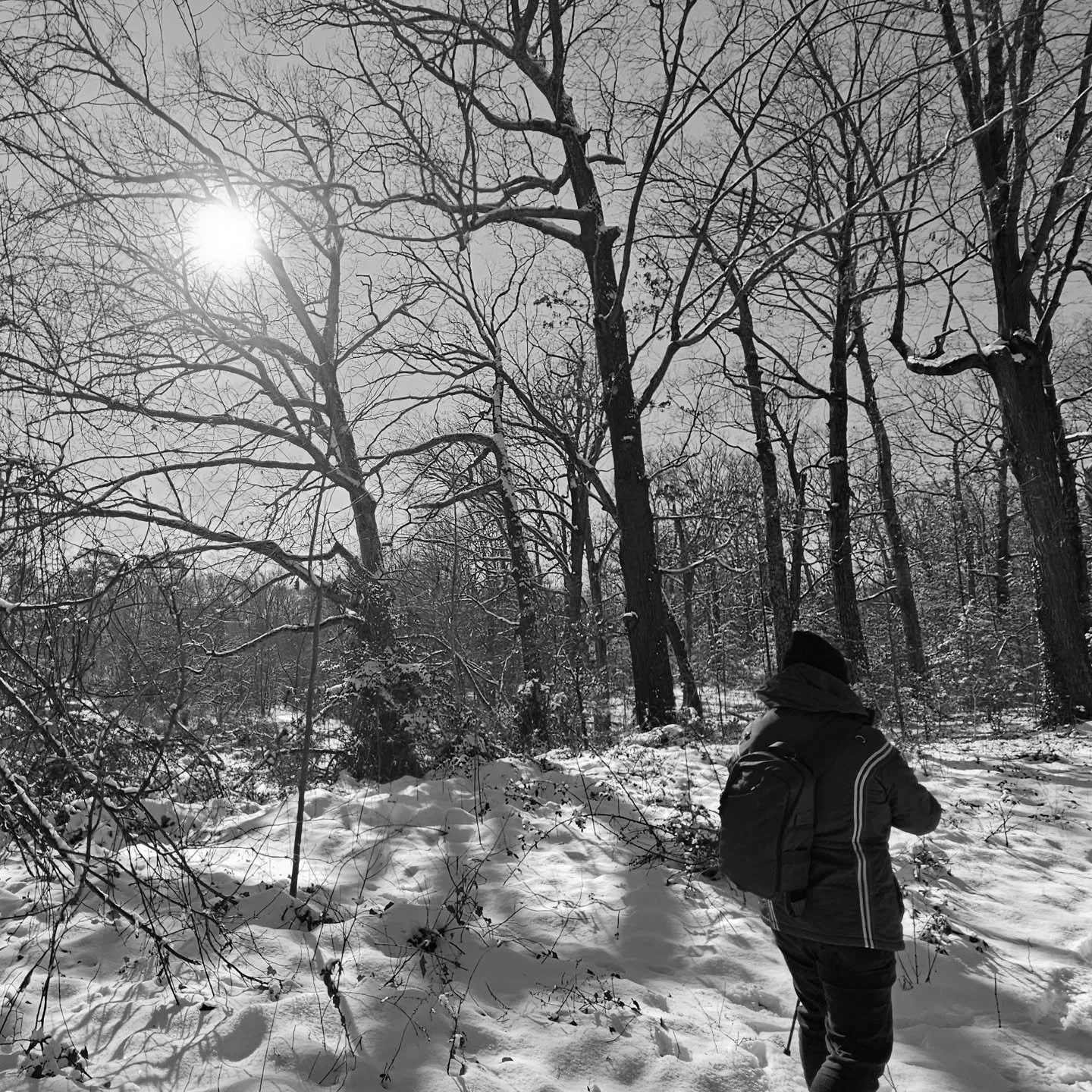 The complete 2025 audio recordings are now available to download on Bandcamp. 

Cover photos made with a @campsnapcamera.

Photo of PJ by @bunnycaper

10 Recordings:
A Sign of an Approaching Occluded
An Apparent Outward Force
By The Gravitational Pul