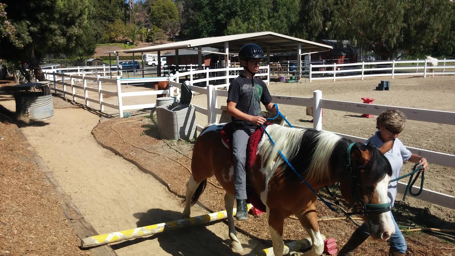 The "sensory trail," a gift from the agents of Keller Williams to Seneca, plays a critical role in the equine therapy program. Using the sensory trail, children are given ways to reconnect with the outside world, a world they have closed themselves off to due to trauma in their lives. 