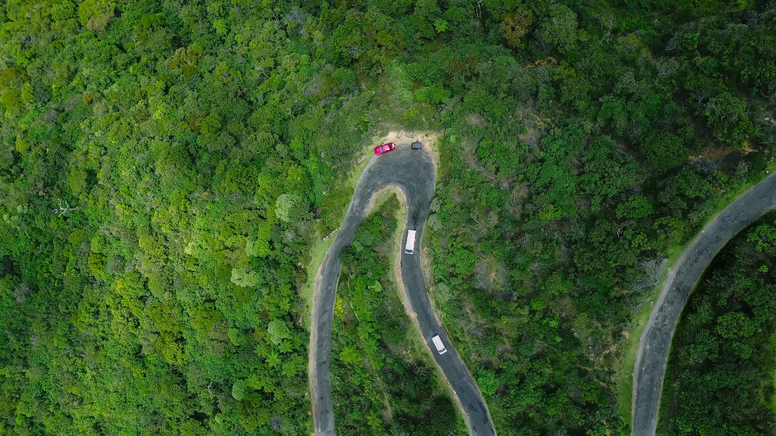 horton_plains.jpg