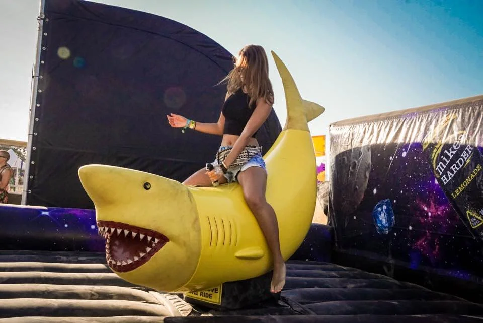 2016 was a hell of a ride...