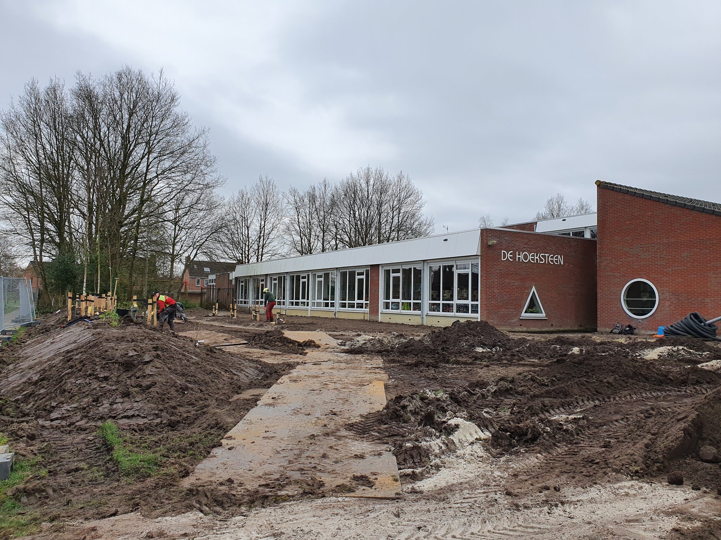 Bomen planten CBS de Hoeksteen