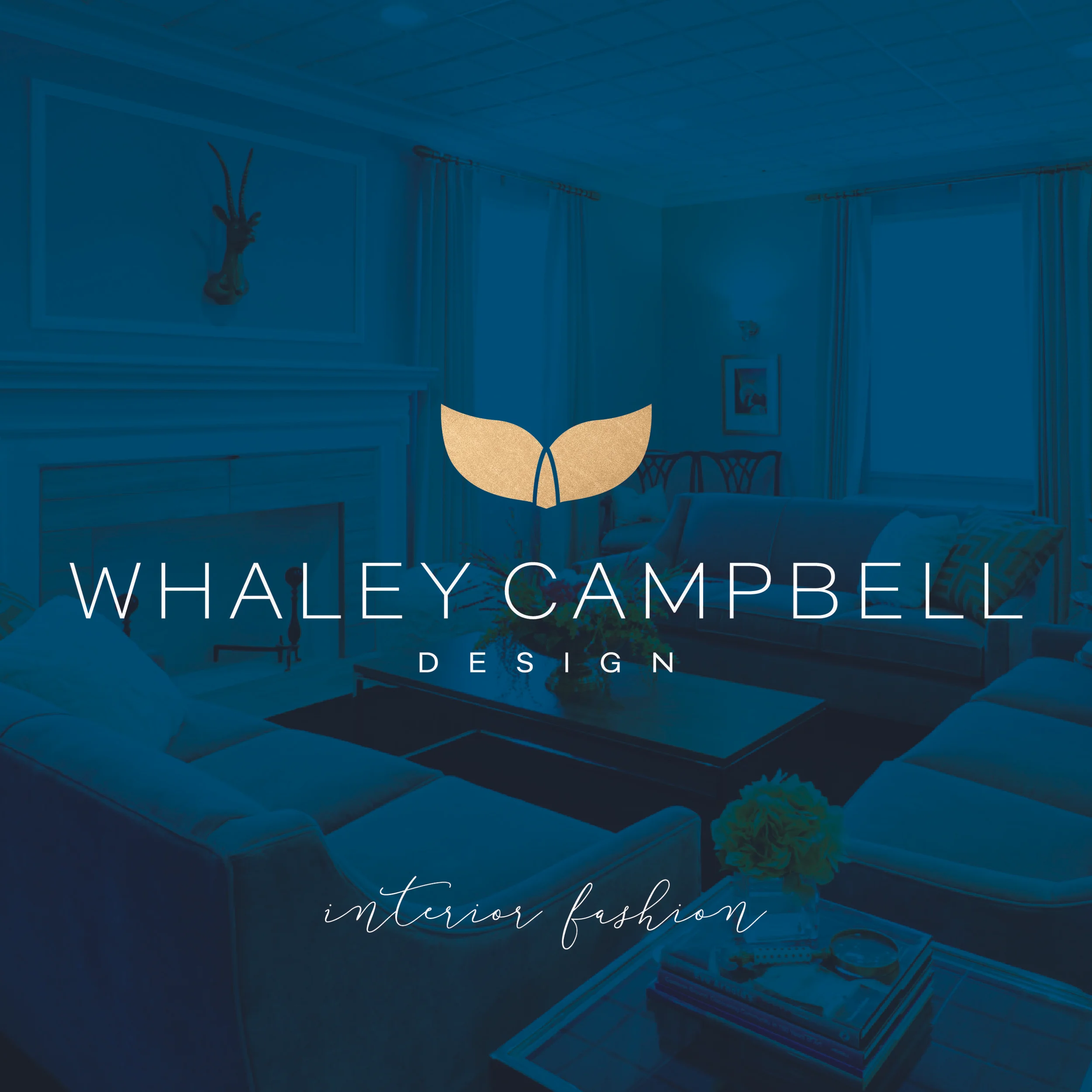 WCD_web graphics-01.jpg