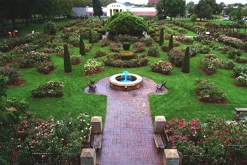 Art and Roses 