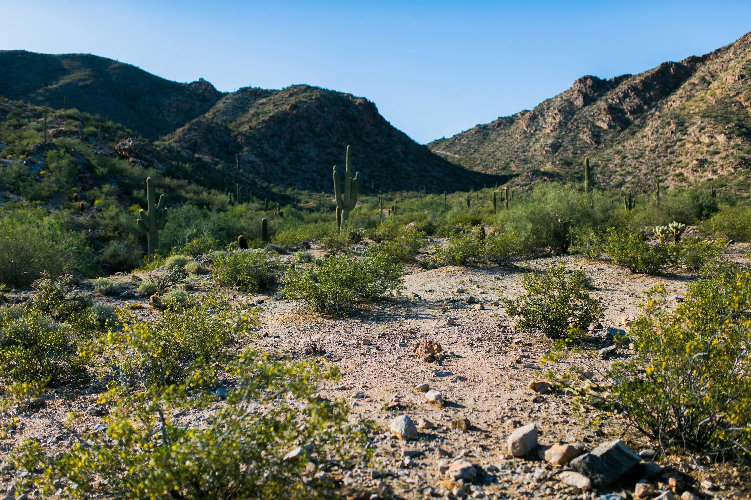 Building_Landscape-2.jpg