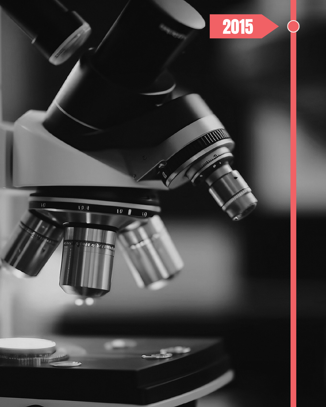 2015 Lipedema Foundation Research Impact