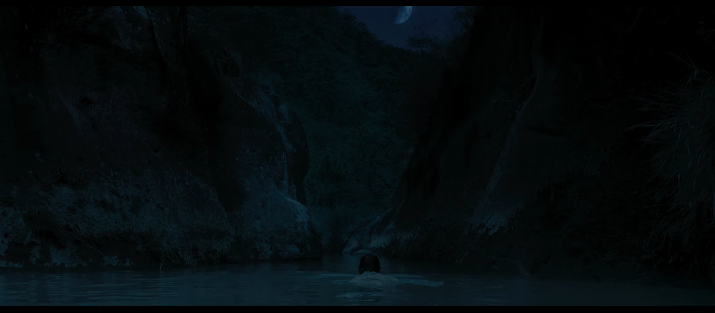 Screen Shot 2020-05-18 at 2.55.21 PM.png