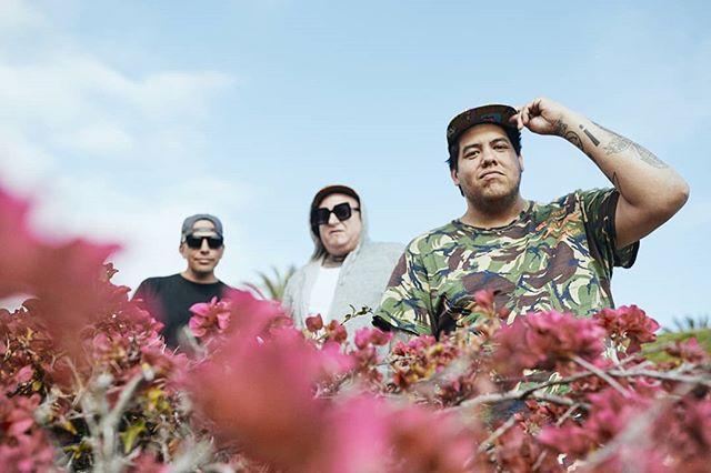 In support of their new album "Blessings", the ska-punk trio Sublime With Rome will be touring across the US all summer with special guests SOJA and Common Kings. The band will be making appearances at this year's Bunbury Music Festival, Summerfest, Levitate Fest, and more. Tour starts June 1st and will extend until September 13th. Tour dates and tickets can be found on the bands official website sublimewithrome.com