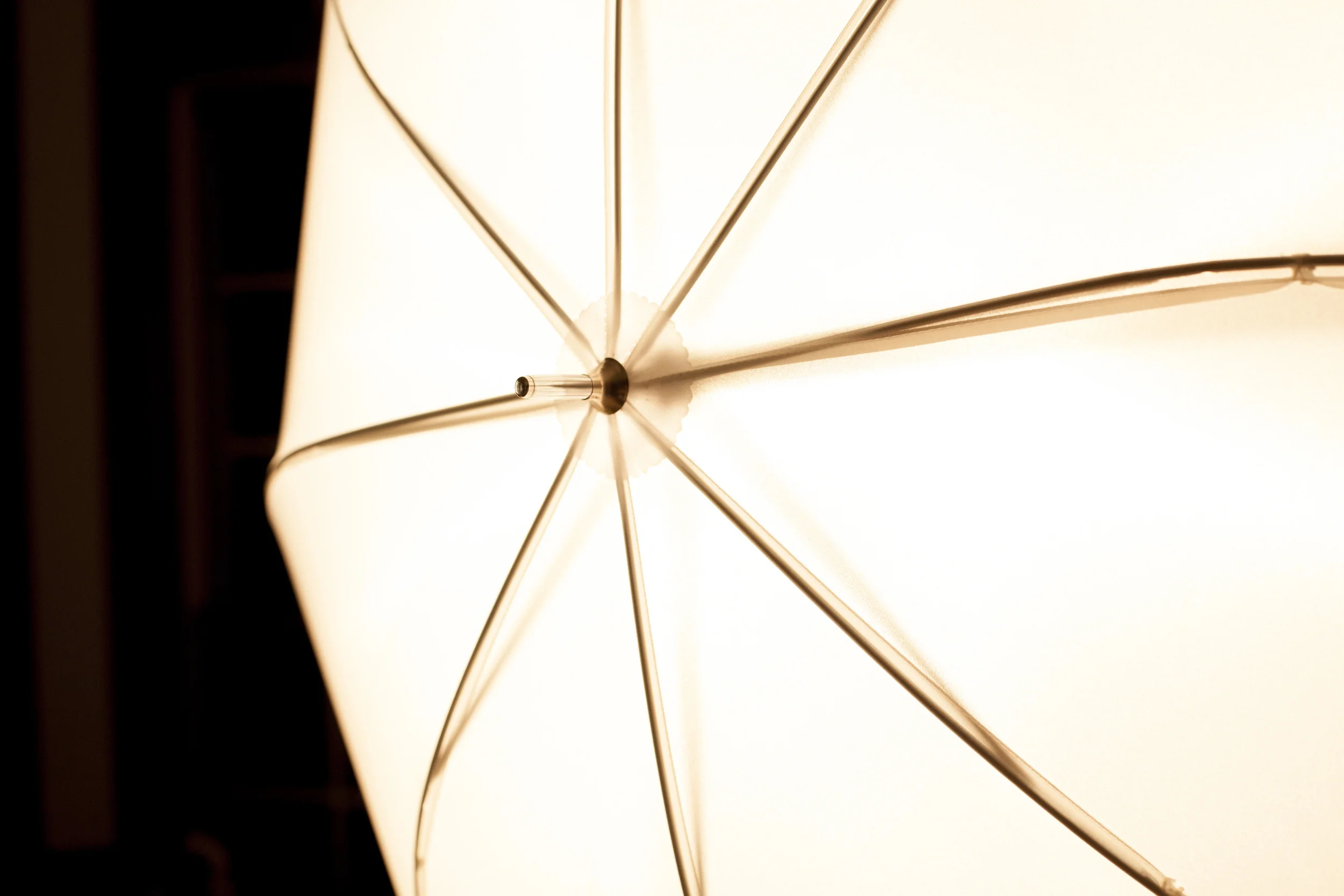Light1.jpg