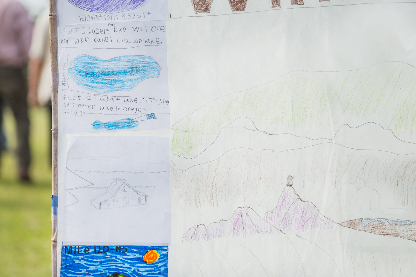 Springwater-6.jpg
