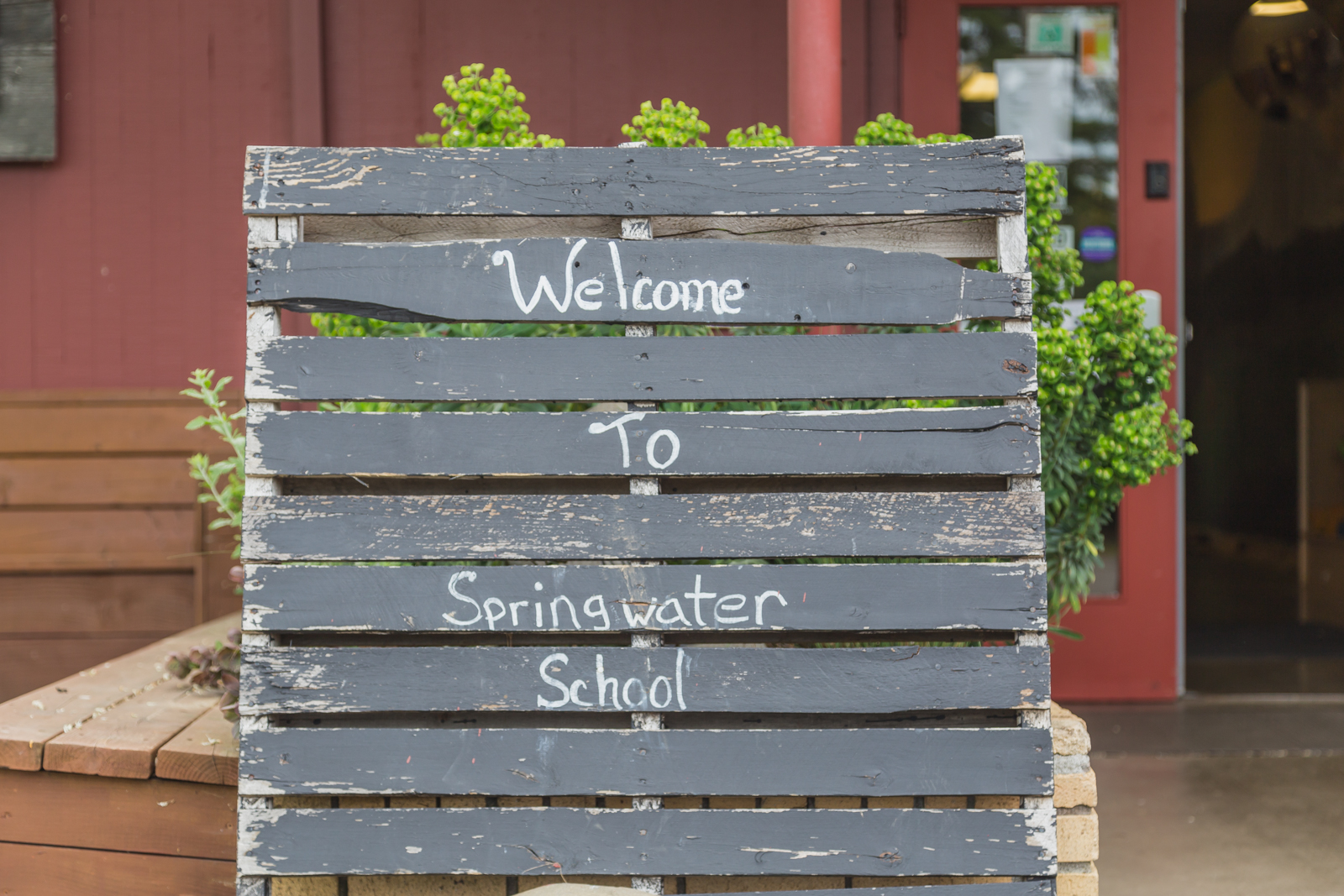 Springwater-1.jpg