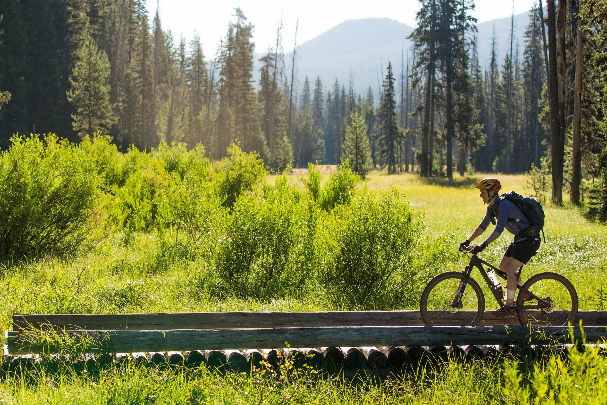 Alpine meadows © Leslie Kehmeier