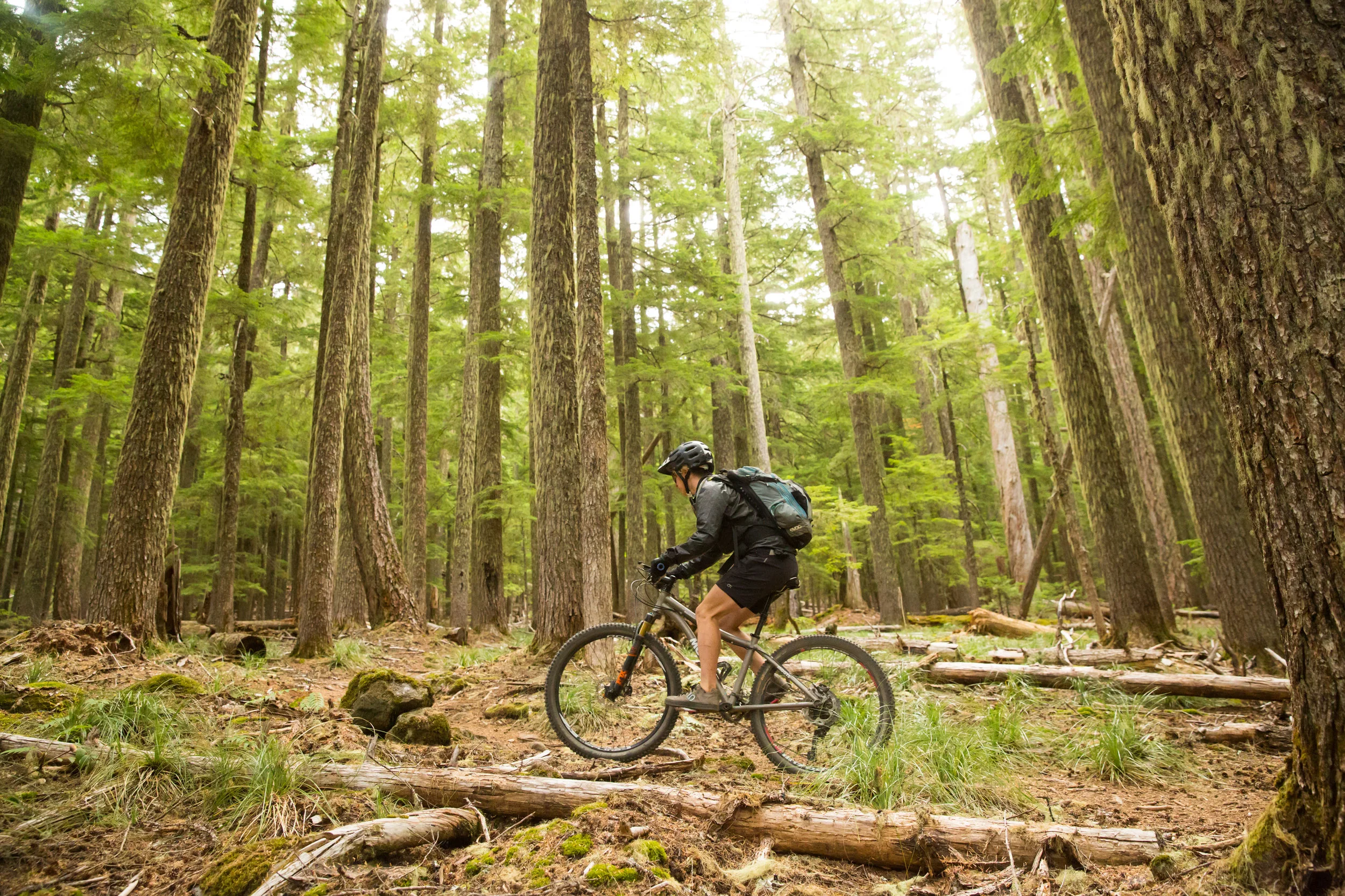 Olallie Lakes area © Leslie Kehmeier