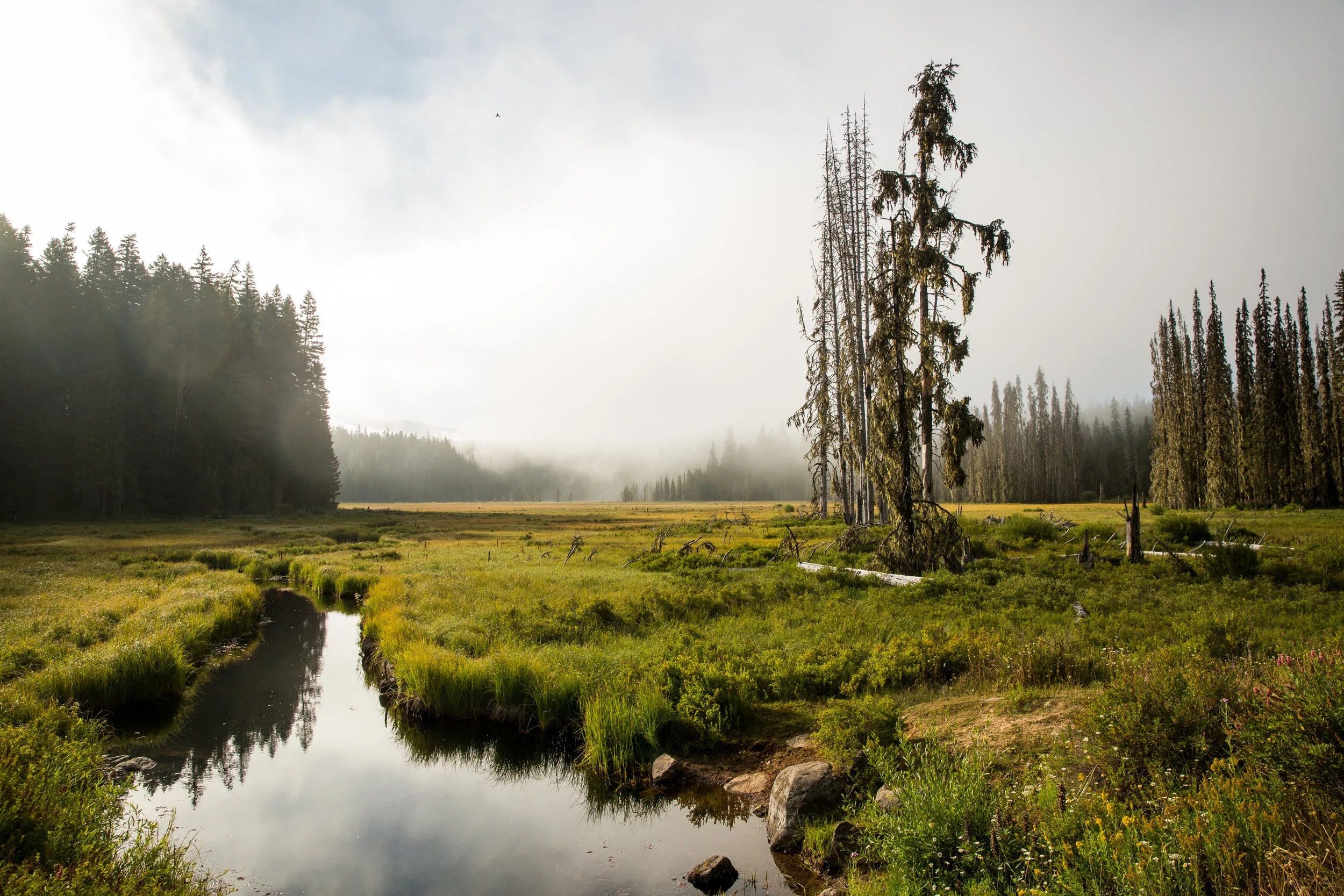 Circling Timothy Lake © Leslie Kehmeier