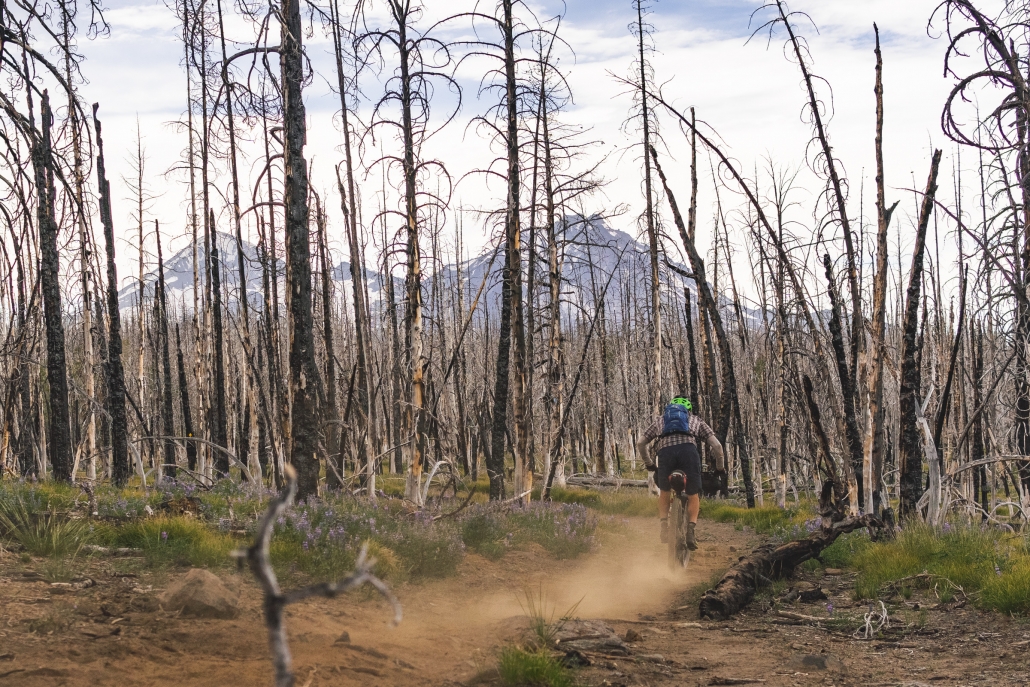 Metolius-Windigo-Trail-Oregon-Timber-Trail-1030x687.jpg