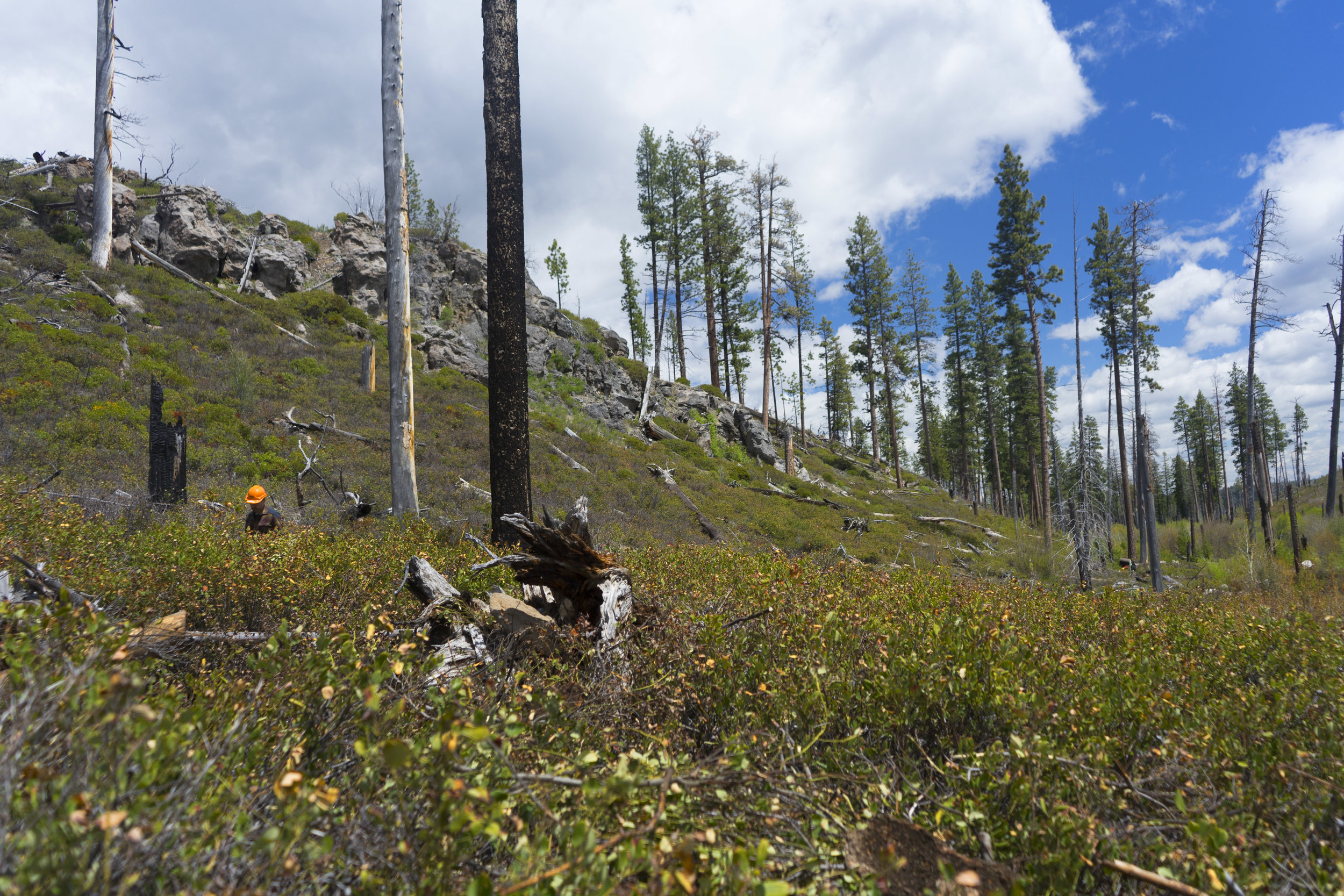 OTT Hardhat in the Field.jpg