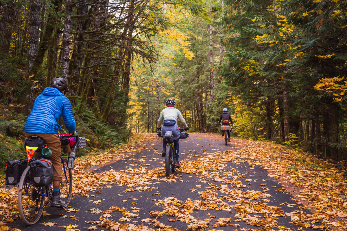  Entering a tunnel painted with every shade of green, yellow, and orange imaginable. 