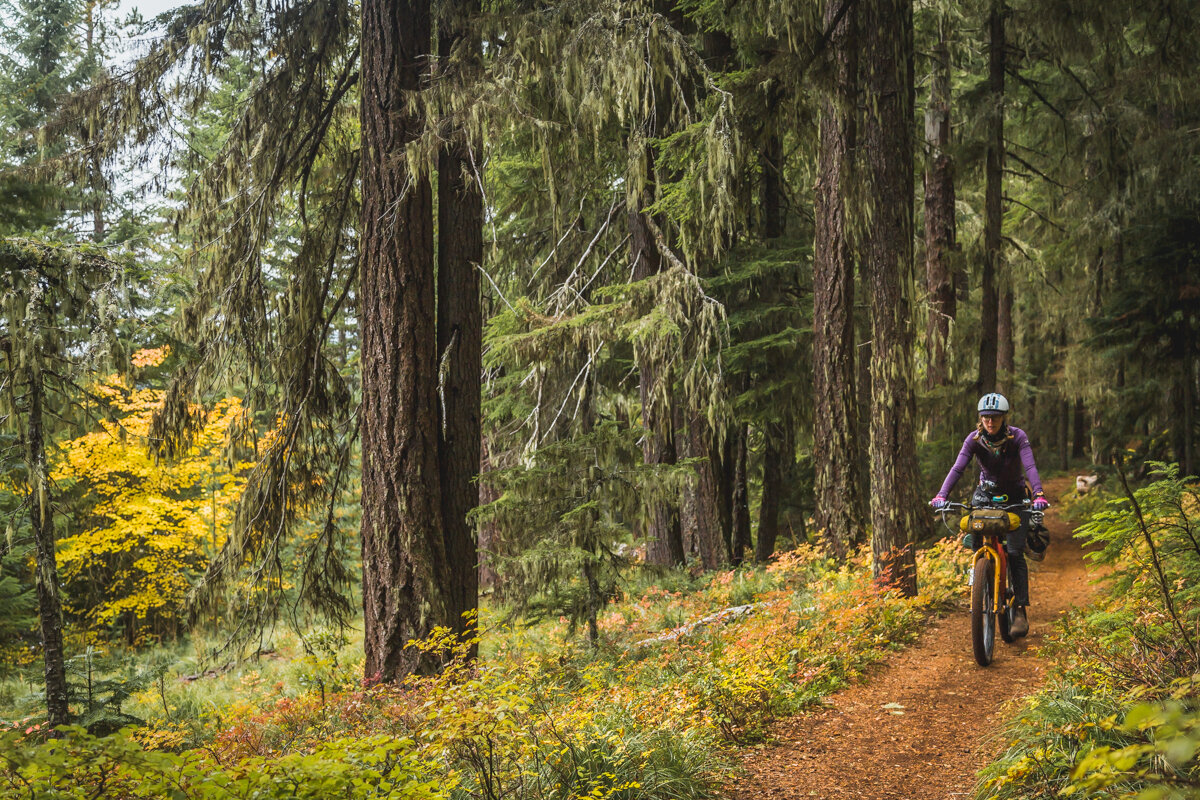  The Timothy Lake Trail is wide, smooth, and perfect for people who just want a taste of bikepacking on singletrack. 