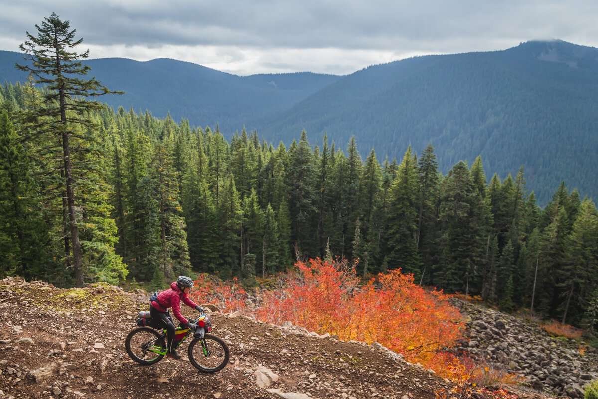  Abbot Road is a gem—a rough and tumble 4x4 jeep road through talus fields, endless forested slopes, and alpine meadows tucked along the ridgetop. 