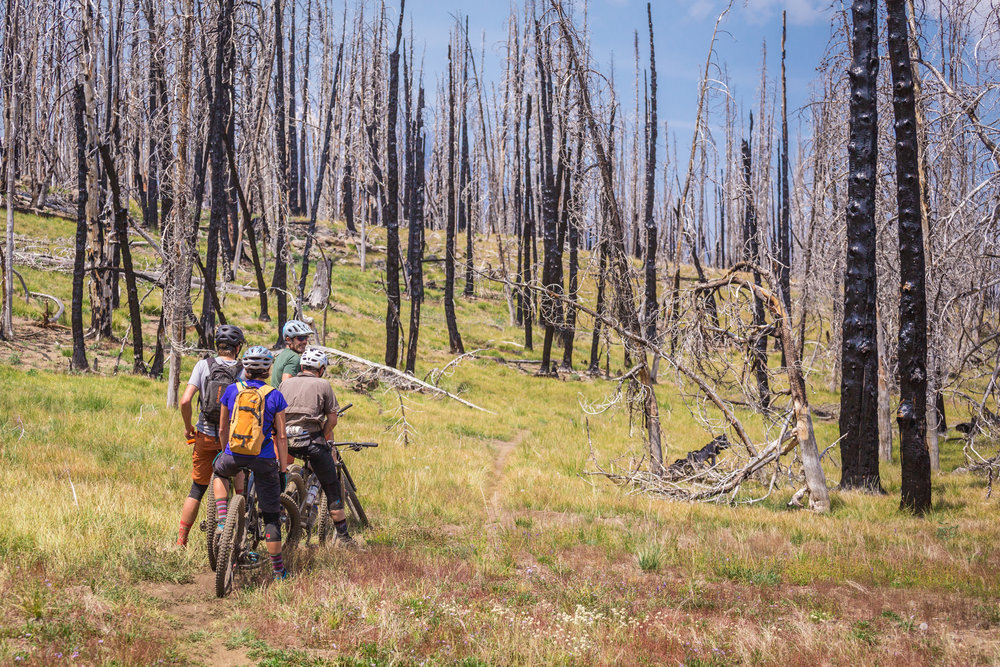 Best Rides of the Deschutes Tier