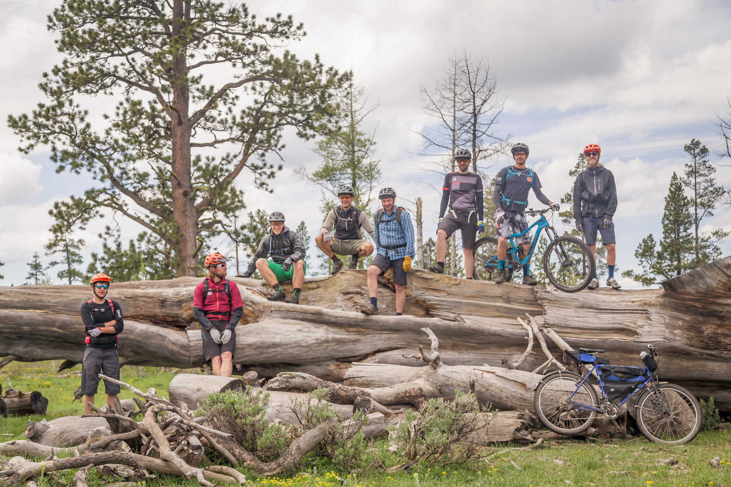 Oregon Timber Trail Alliance - Fremont Tier Stewardship Campout