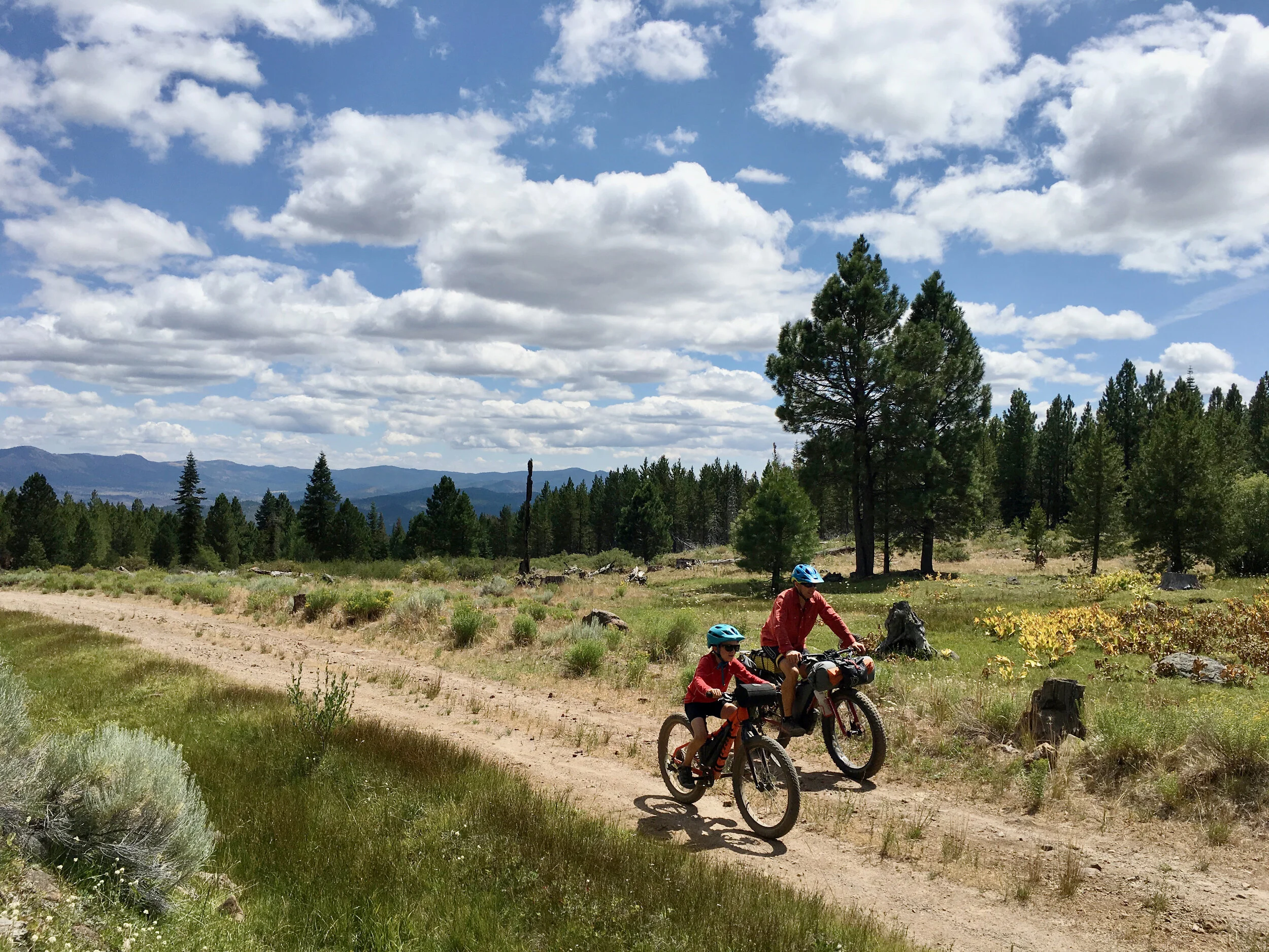 Shared Love and Responsibility on the Oregon Timber Trail