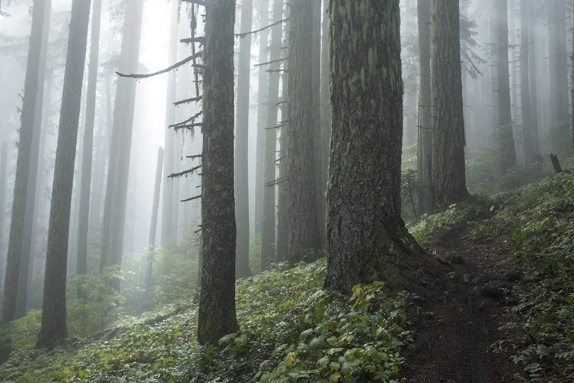 Year end retreat recap + Fall Ride Guide