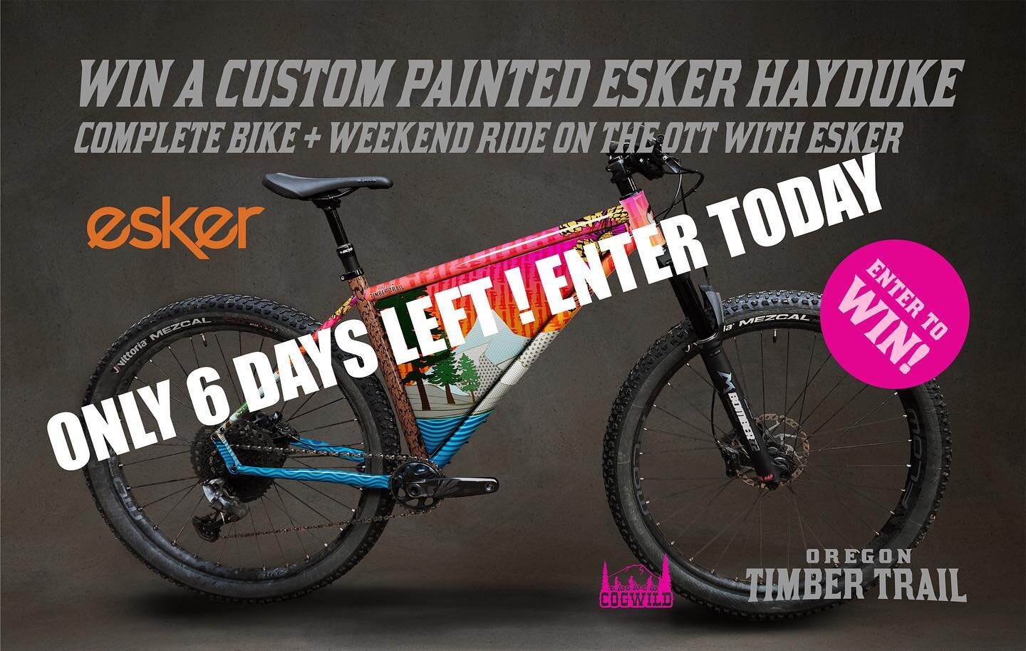 ONLY 6 DAYS LEFT to win an incredible custom painted Esker Hayduke complete bike, designed By artist Chris Conlin @chris_conlin paired with a matching Rogue Panda frame bag.

But wait, there's more! 🌟 The lucky winner will also embark on a weekend t