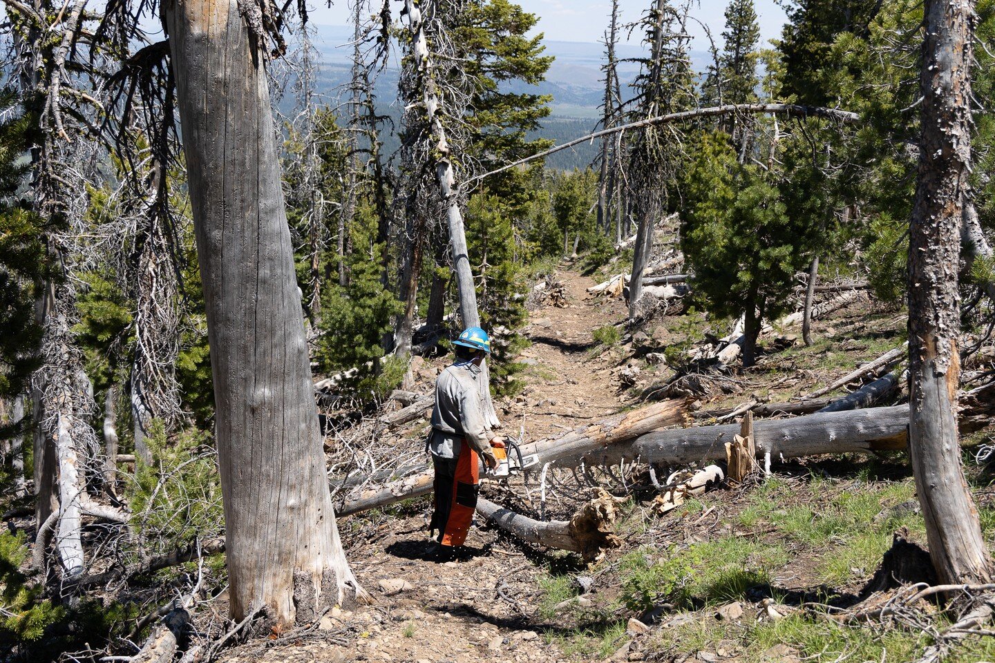 Thom Batty, the owner of Tall Town Bike and Camp in Lakeview, Oregon, has been receiving rider feedback about the Oregon Timber Trail for the past six years. One common complaint has always stood out: the excessive amount of blowdowns on Crane Mounta