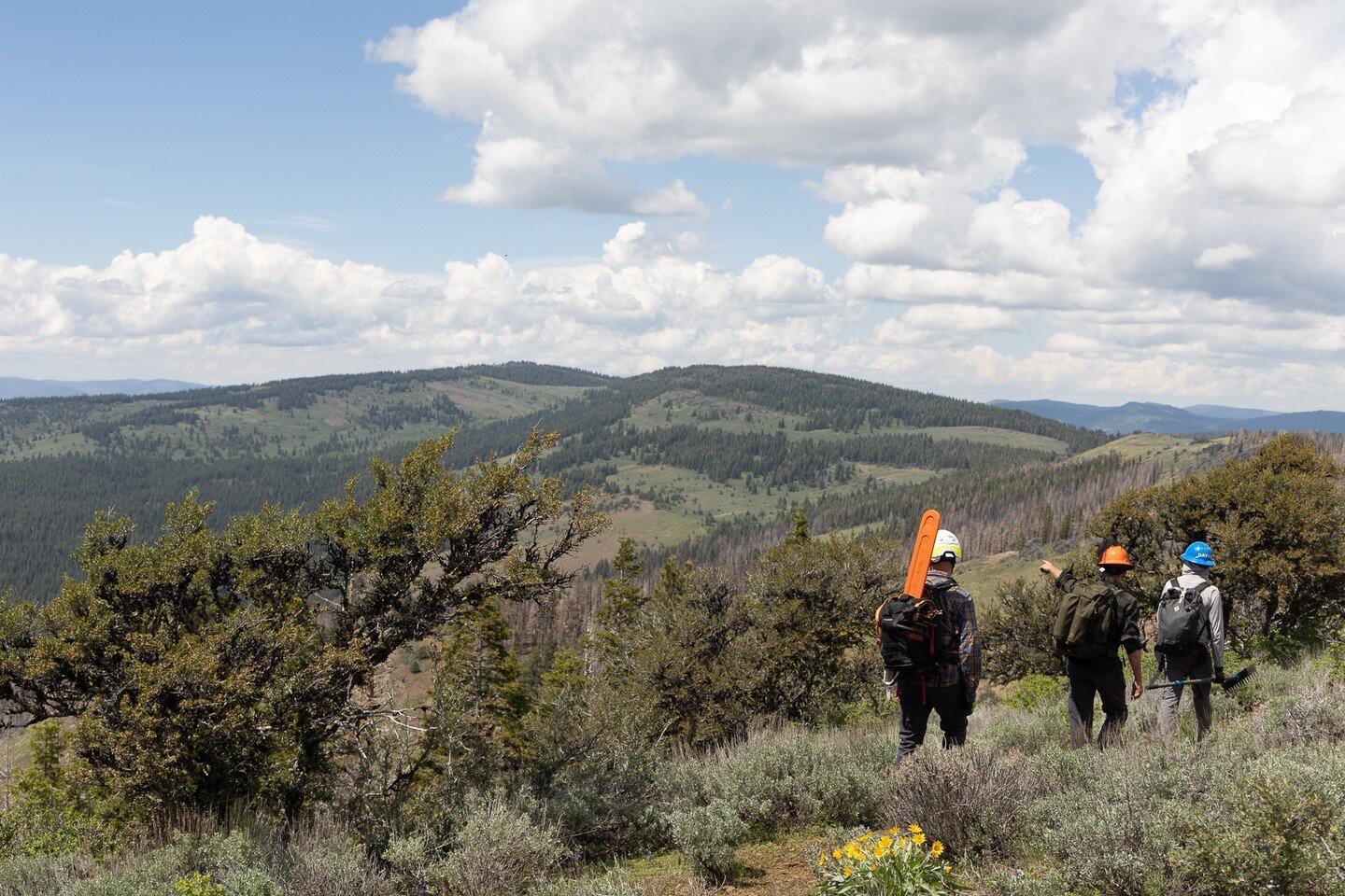 Fremont-Winema Stewardship Event #2 was a huge success! (read our event recap on the site now - Link in Profile) With 11 volunteers, and board members, we dedicated 415 hours to improving trail conditions in the Fremont-Winema National Forest, worth 