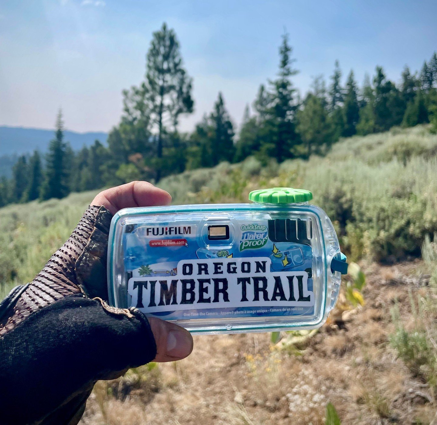 2024 got off to an icy start but the Oregon Timber Trail Alliance is warming things up with a sunny snapshot of some of the exciting initiatives and events we have planned for the year ahead. 

Join us on the Fremont Tier in southern Oregon this spri