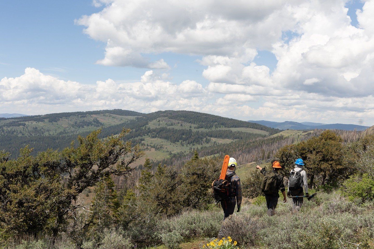 The southernmost 50 miles of the Oregon Timber Trail are challenging. This high-elevation route follows the crest of the Warner Mountains, climbing to 8200 feet at Crane Mountain. It&rsquo;s a remote area where the trail doesn&rsquo;t get much use, s