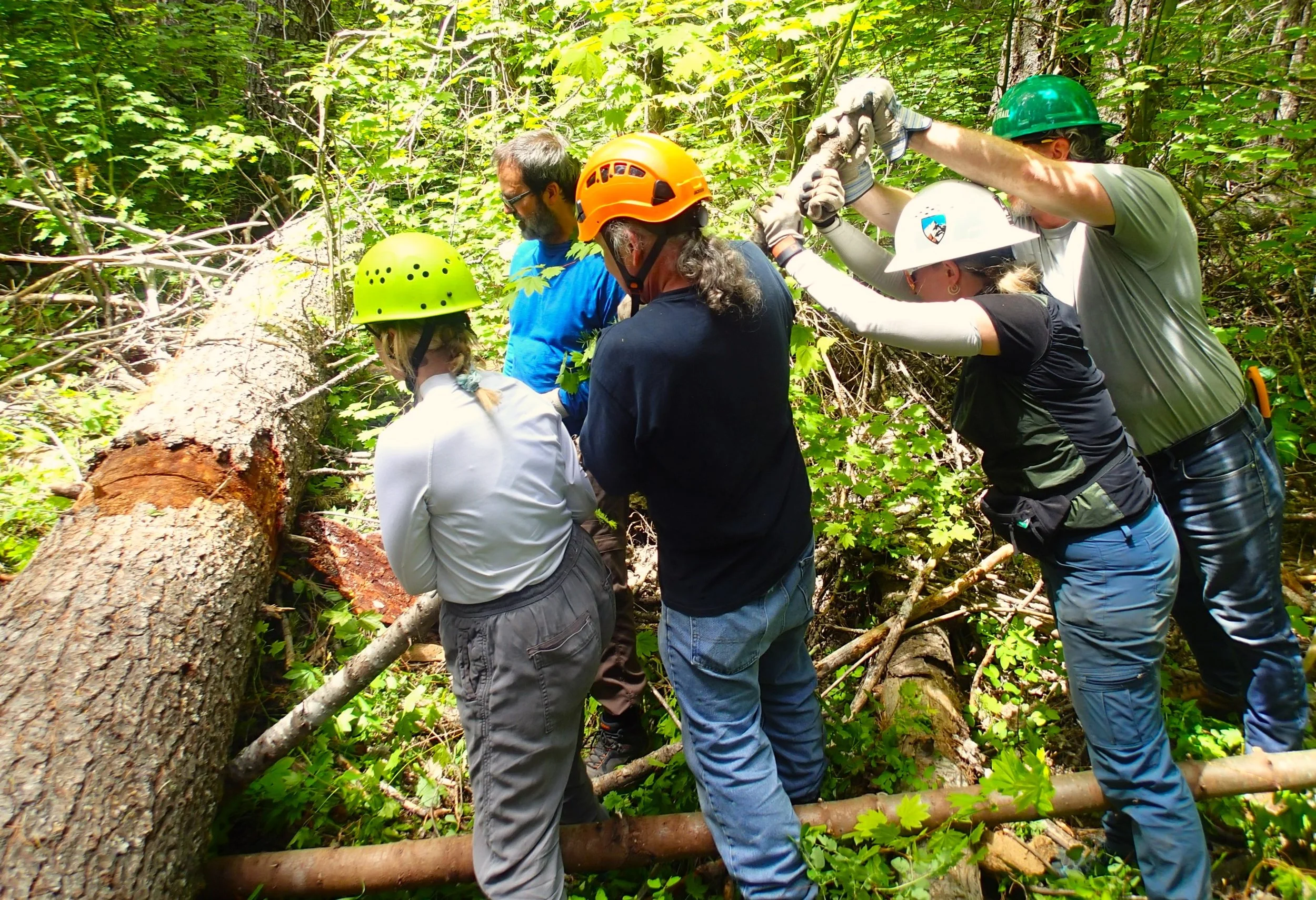Fifteenmile Trail Work Party (Mt Hood Tier)