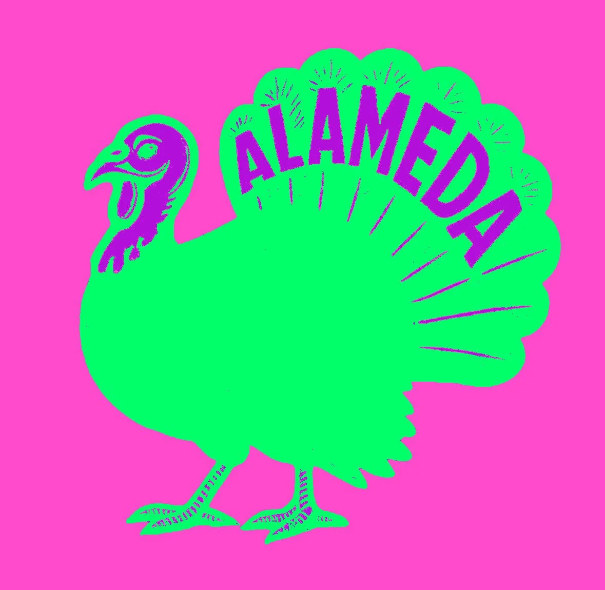 pink turkey extravaganze.jpeg
