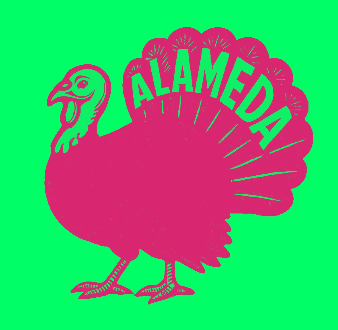 xmas turkey.jpeg