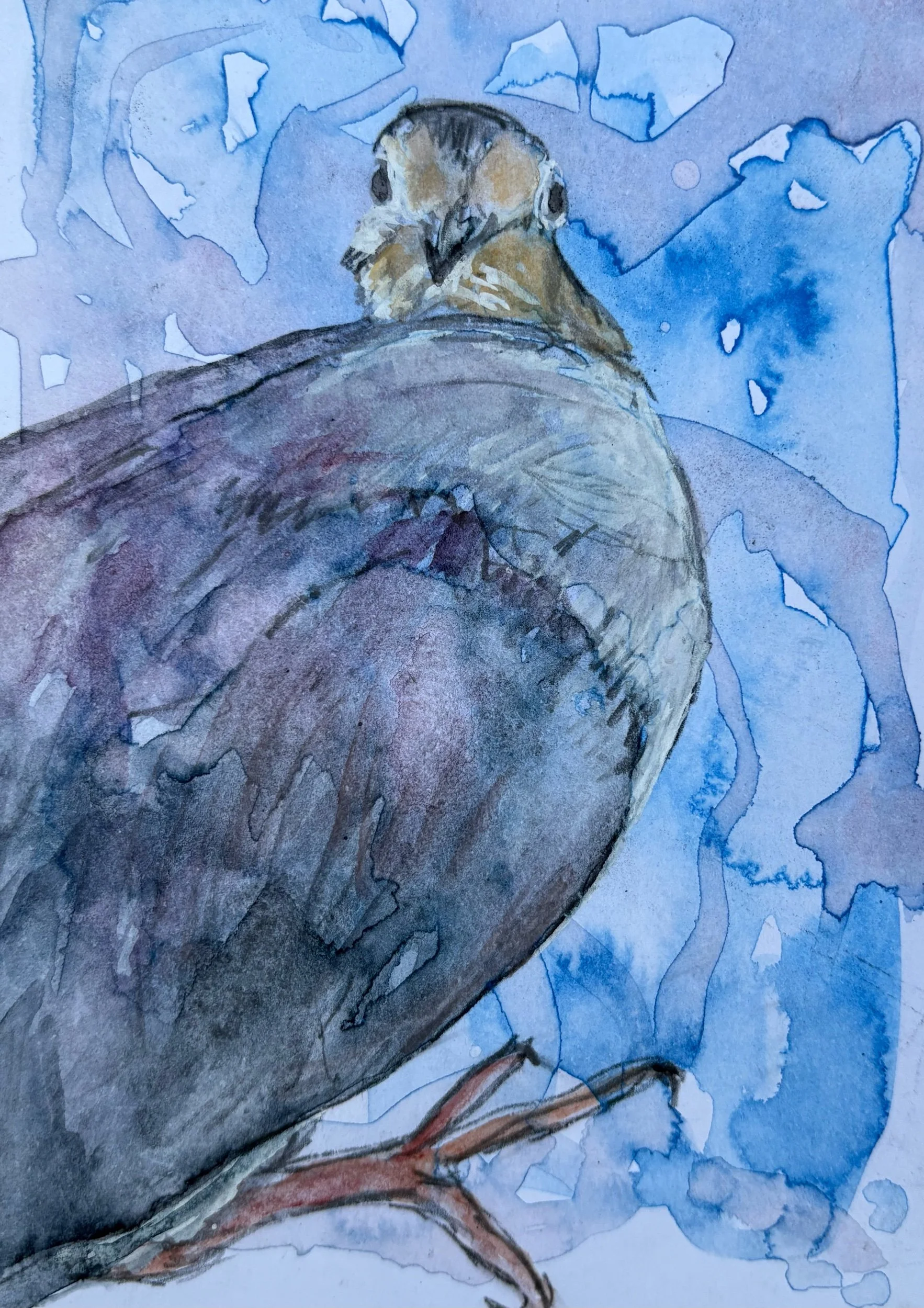 IMG_7268.jpeg
