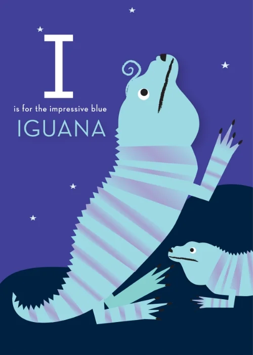 Iguana.jpg