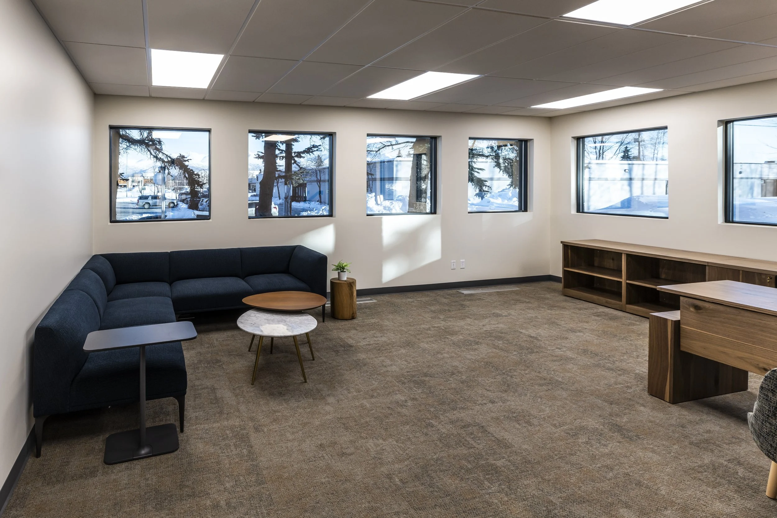 Corporate Project [designer: salt ak llc]