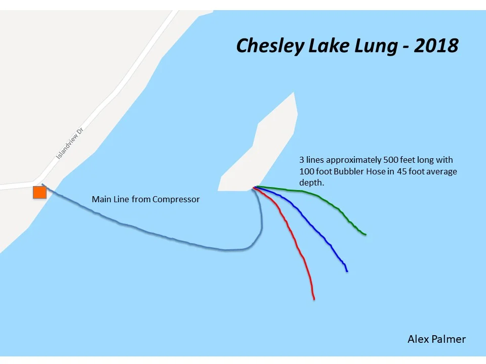 CL_Lung2018.jpg