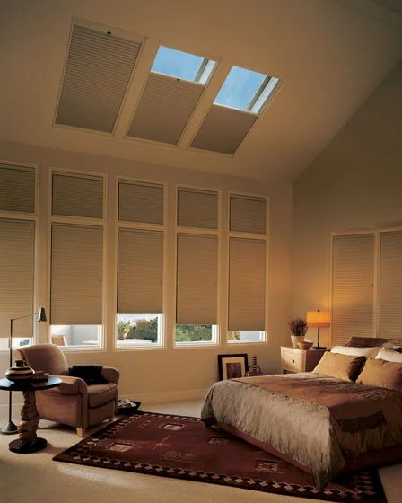 Motorized Shades