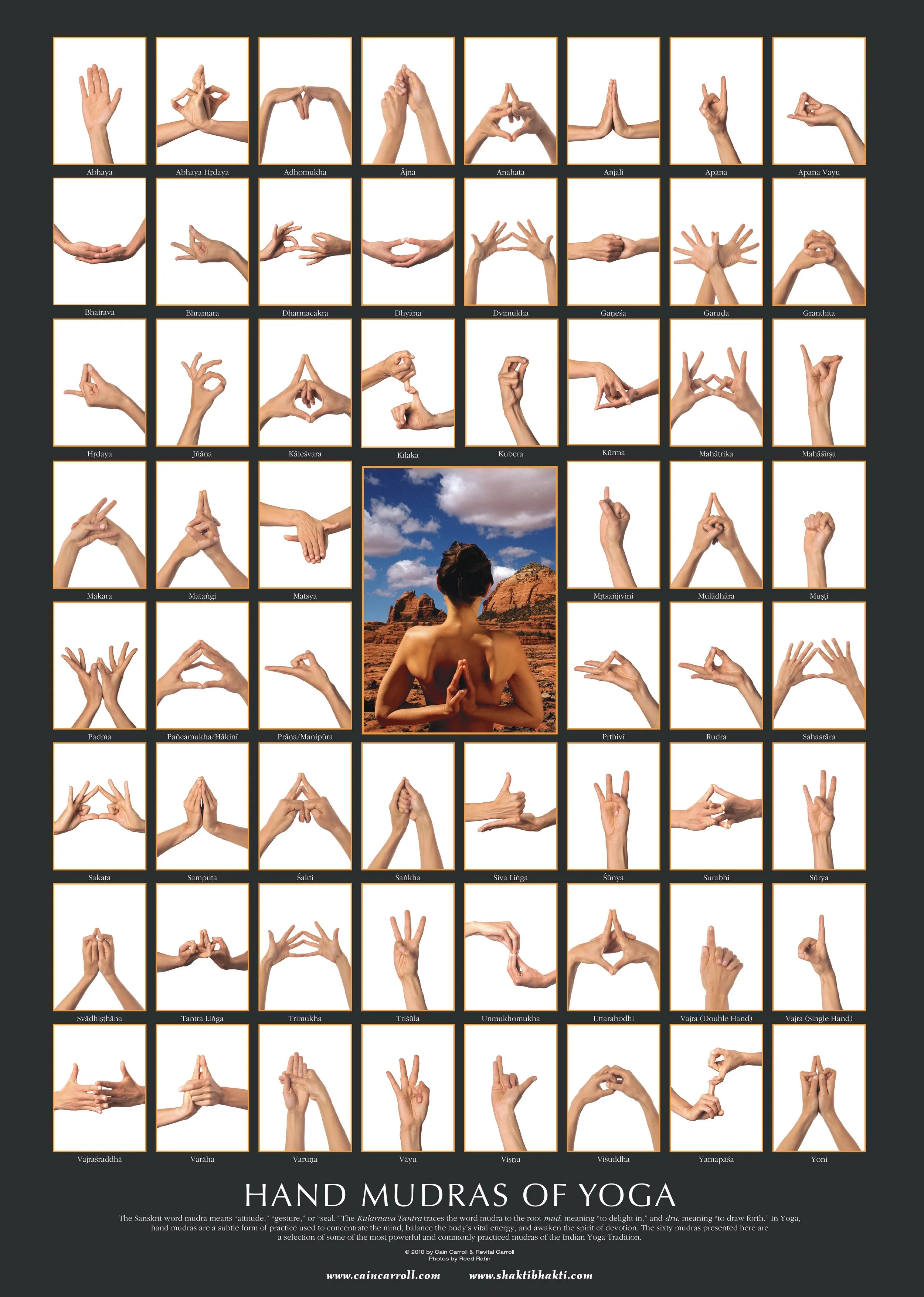 Mudras of Yoga - Poster