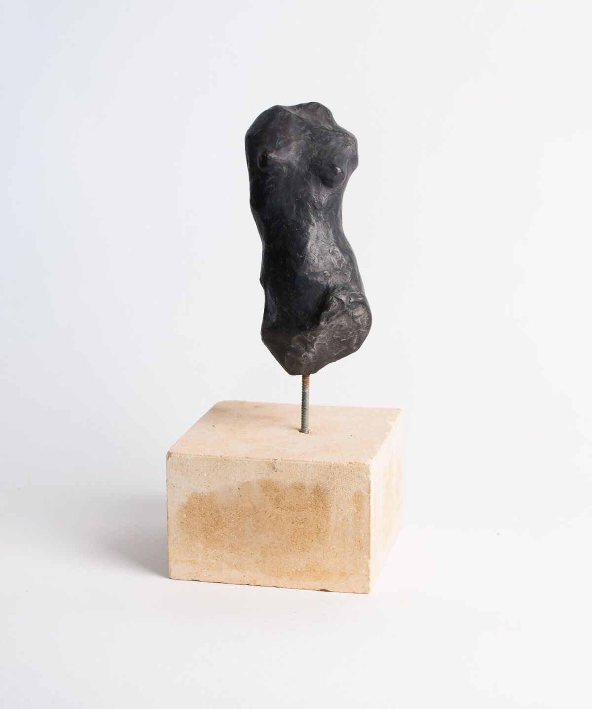 Torso