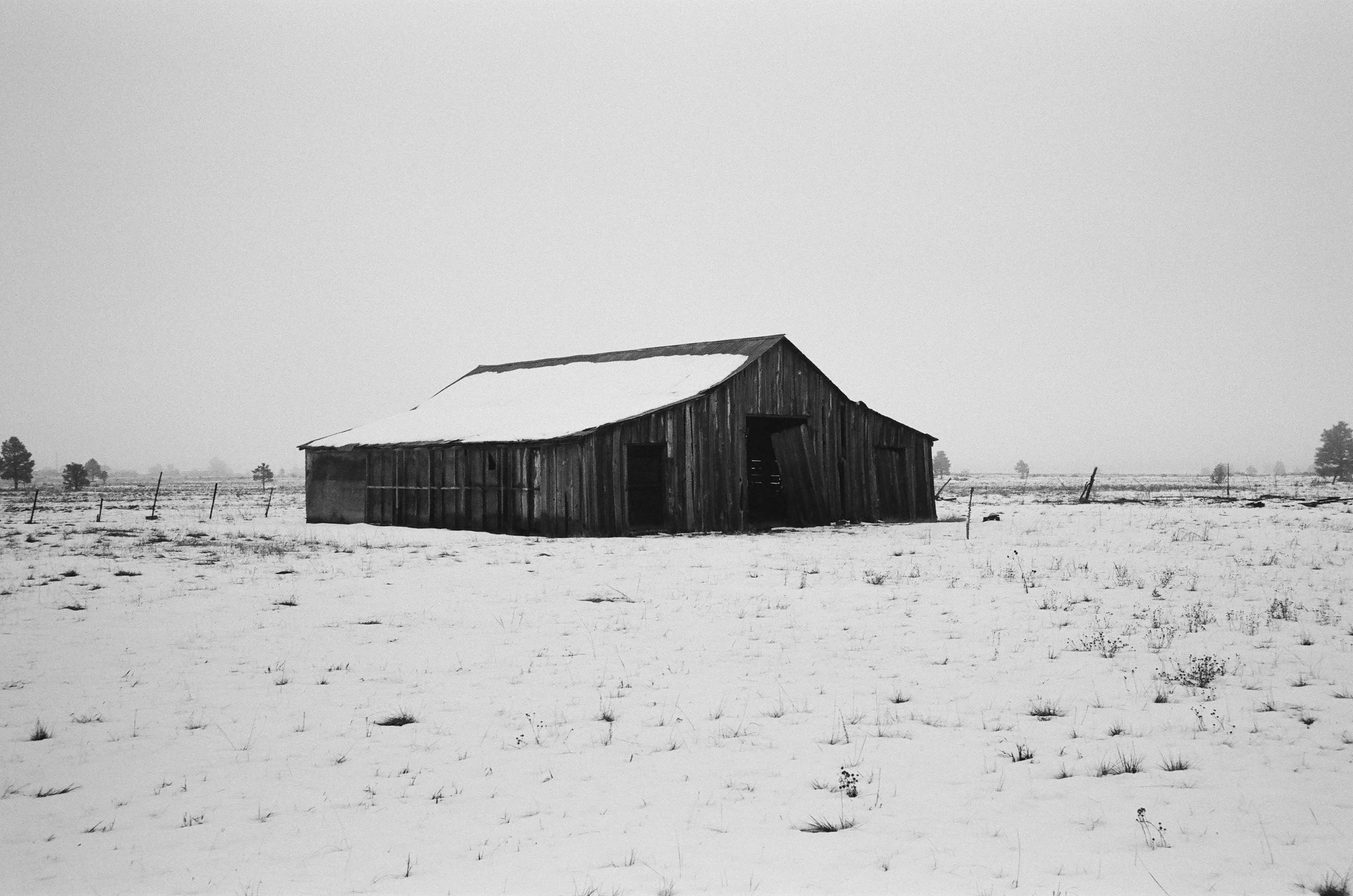 000362890010-2.jpg